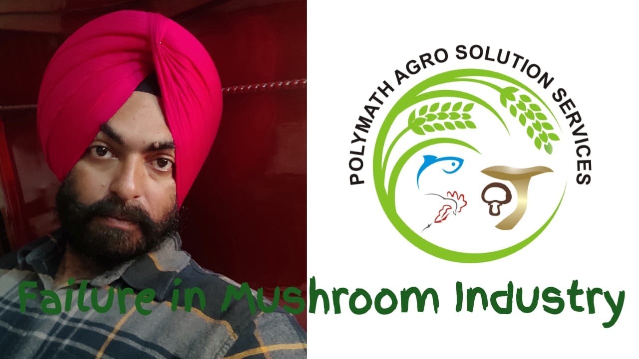 Mushroom Cultivation: Reason of failure in mushroom Industry