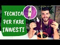 INNESTO a PEZZA: tecnica per innestare a gemma le piante da frutto in SETTEMBRE