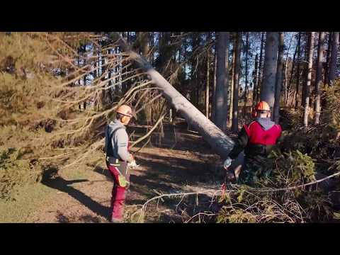 Hans Kinze Forst- und Rodungsbau in Hemer