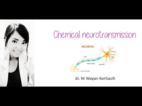 Video: Di mana neurotransmisi kimiawi terjadi?
