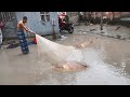 Fishing At Home in My Village - Amazing Village Net Fishing On The Flood - P - 215@am fishing