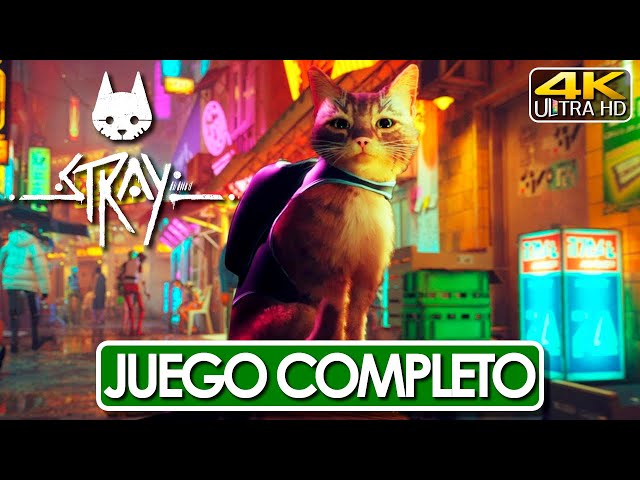 Stray supera The Day Before e se torna o jogo mais aguardado do Steam -  Combo Infinito