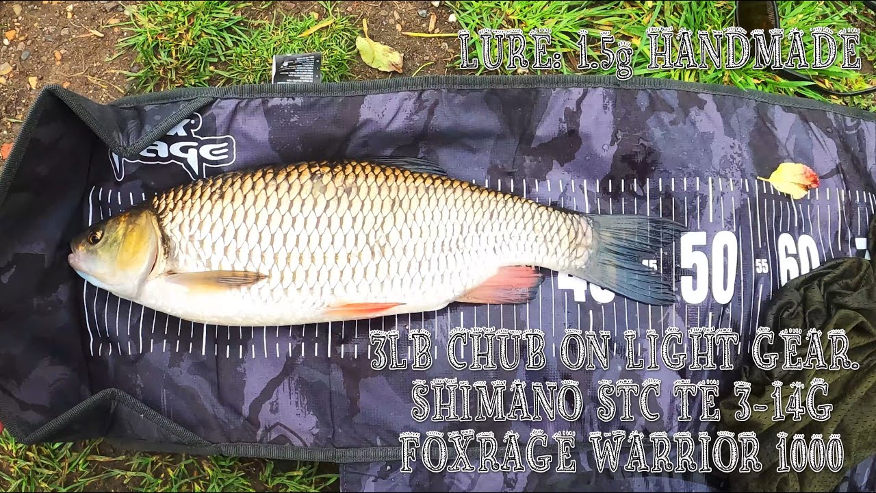 Cracking 3lb Chub on the River Lea. Shimano STC TE Light (3-14g) 1.80m. 