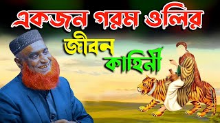 এক জন গরম ওলির জীবন কাহিনী । বজলুর রশিদ ওয়াজ ২০২৩। Bozlur Rashid Waz 2023 ।  Best Bozlur Waz