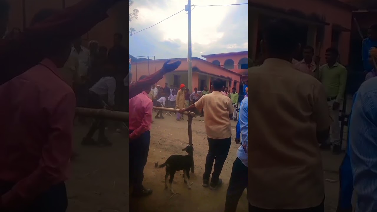 Dudhara school per ke gate ka 🏘️🏡🌺🌷💖🙏🙏