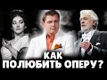 Как полюбить оперу? | Евгений Понасенков