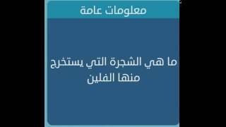 ماهي الشجرة التي يستخرج منها الفلين من 4 حروف - لعبة وصلة