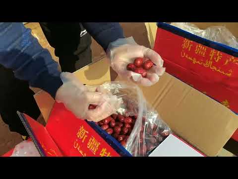 Xinjiang Red Dates
