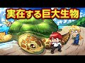 実在する巨大生物4選 アニメ マンガ 実在する巨大生物4選 アニメ マンガ