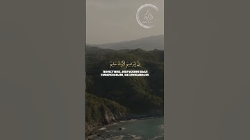 تلاوة هادئة وشجية لسورة التوبة بصوت القارئ عبدالرحمن ناجي #عبدالرحمن_ناجي #محمد_اللحيدان