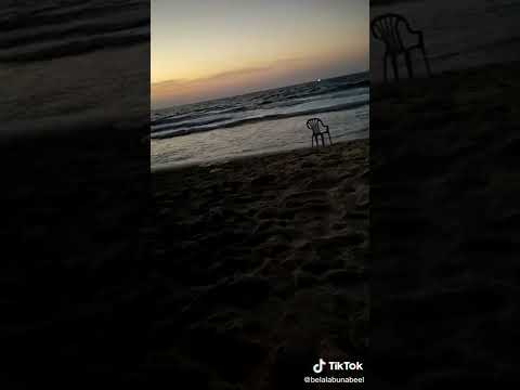 انت يلي خدت قلبي حالات واتس رومانسية