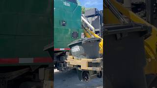 Wm Heil Python Doing Trash