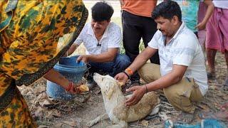 माँ की ममता का ऐसा रूप देख भर आयेंगी आपकी आँखें! 4 दिन से लापता बच्चे के मिलने पर माँ ने जो किया? 