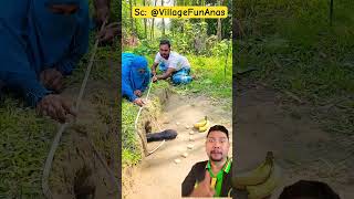 Ayo Tangkap Ular Jadi Jadian comedy funny cute lucu shorts