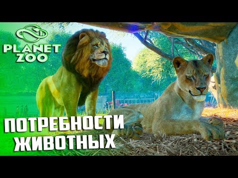 Video: Ako Si Vytvoriť Vlastnú Zoo