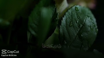 القران الكريم.  تلاوة هادئة                                                اكتب شيء تؤجر عليه 🌱🖤