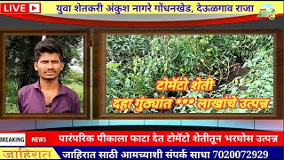 पारंपरिक शेतीला फाटा देत टोमॅटोची लागवड करून घेत आहे भरघोस उत्पन्न युवा शेतकरी अंकुश नागरे