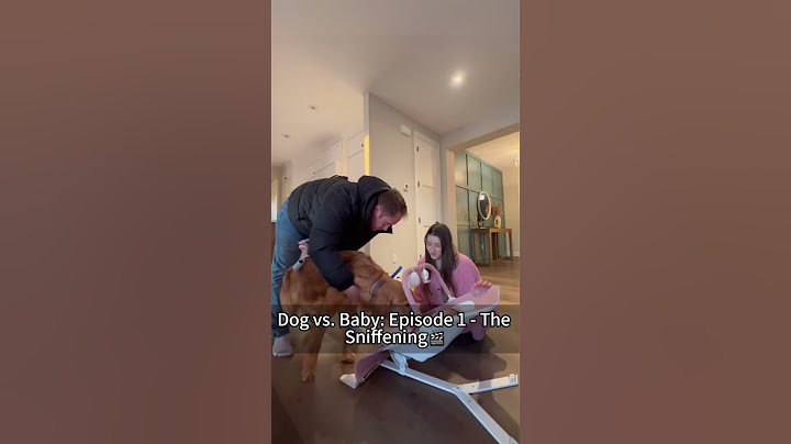 Proof that dogs think babies are just weird puppies#fyp #pet #cute#puppy #fypyoutube #family