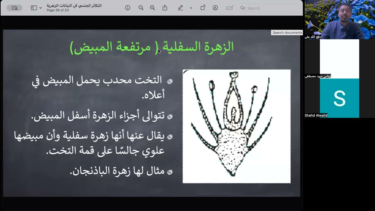 ترتيب المحيطات الزهرية ومقدمة النورات | حصص الشهادة السودانية