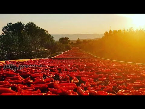 واو نتيجة طوب ديال الكديرة لزبونتي التانية من تمارة دخلو تشوفو