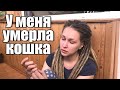 У меня умерла кошка - Настя Звол