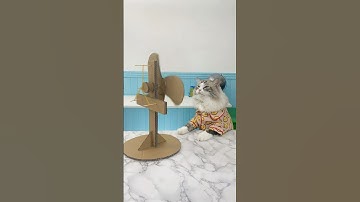 🌀 Will this fan keep spinning? Watch Puff