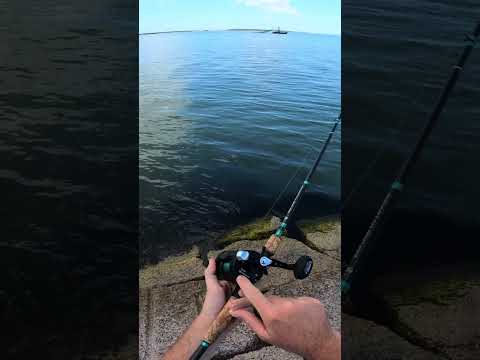 Alijoz 400 Saltwater Baitcasting Reel