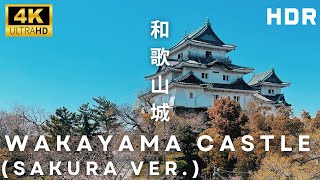 Wakayama Castle during Cherry Blossom Season | 4K HDR