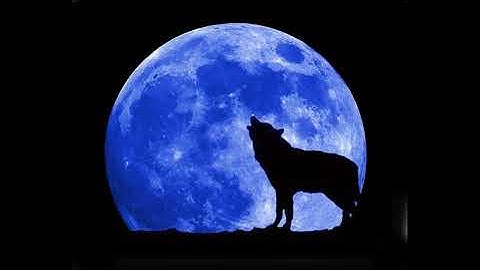 New World Sound - How To Twerk (Original Mix)