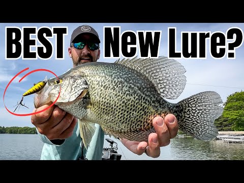 Don't Go Crappie Fishing Without THESE 3 Lures in 2023! 