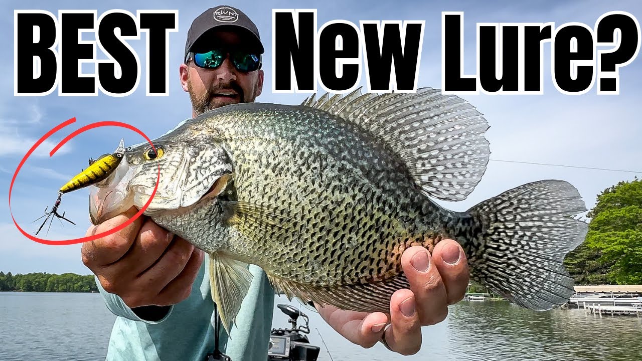 Don't Go Crappie Fishing Without THESE 3 Lures in 2023! 