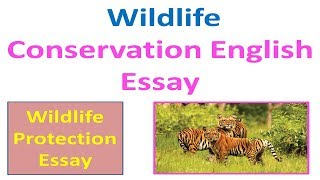 wildlife essay in english