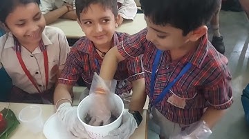Mini compost bin by class 3 students