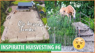 BEKENDSTE KLEINSTE PLEK OM PAARDEN TE HOUDEN! | felinehoi INSPIRATIE HUISVESTING #6