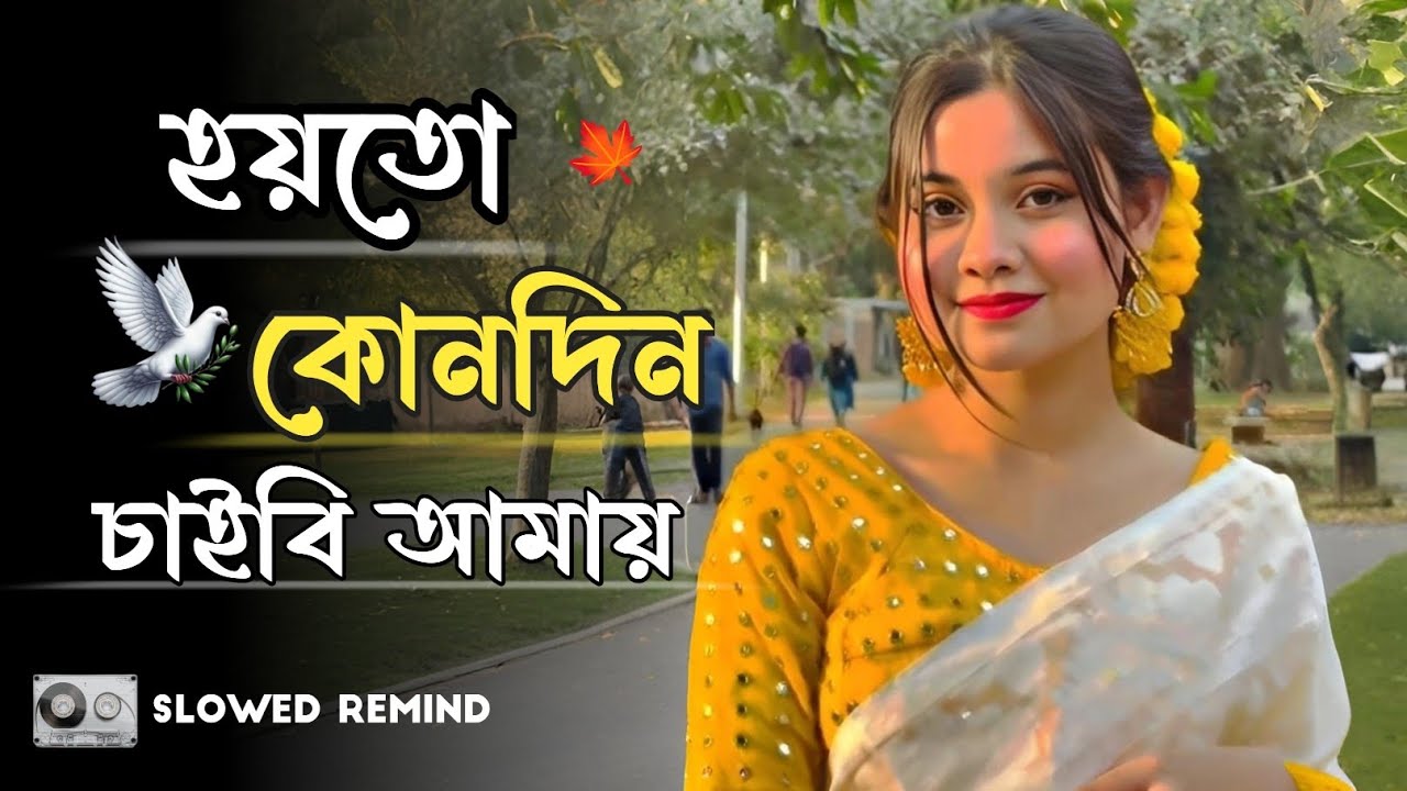 Aar Kadas Na ( হয়তো কোনদিন তুই চাইবি আমাকে ) Bengali Lo-Fi | Slowed Remind | Akash Mardy