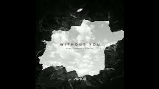 Without You - Avicii ft Sandro Cavazza (Instrumental)