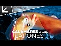 Como pescar calamares desde barco al estilo japonés