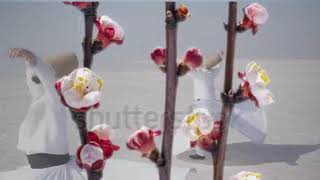 Download Lagu 2021 new | Ottoman Sufi Music | IsLaMiC rInGtOnE | BeSt BaKcGrUnD 2021 || Hamari Duniya Vlogs MP3