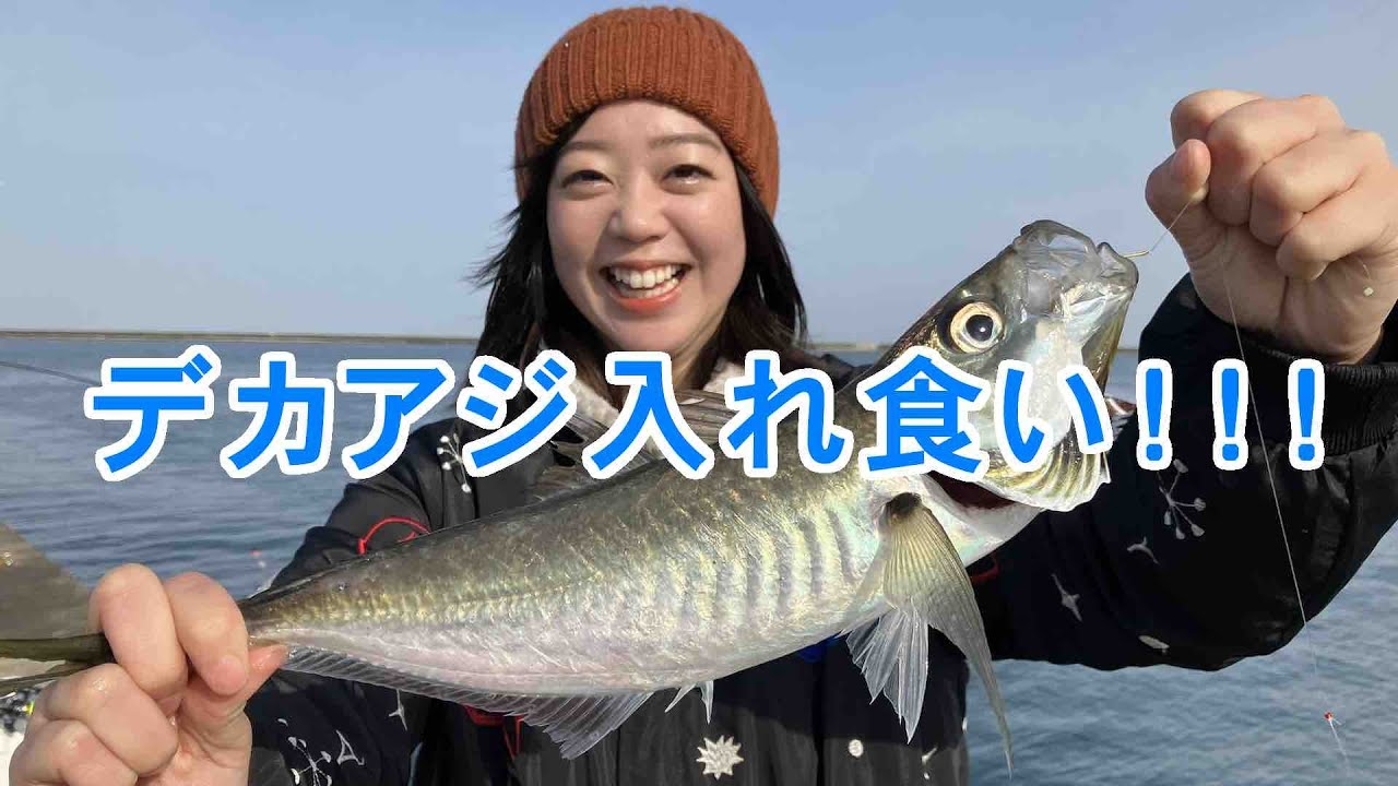 GO!GO!九ちゃんフィッシング #576 「堤防L.Tカゴ釣りで特大アジ