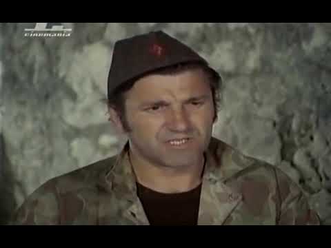 partizanski film