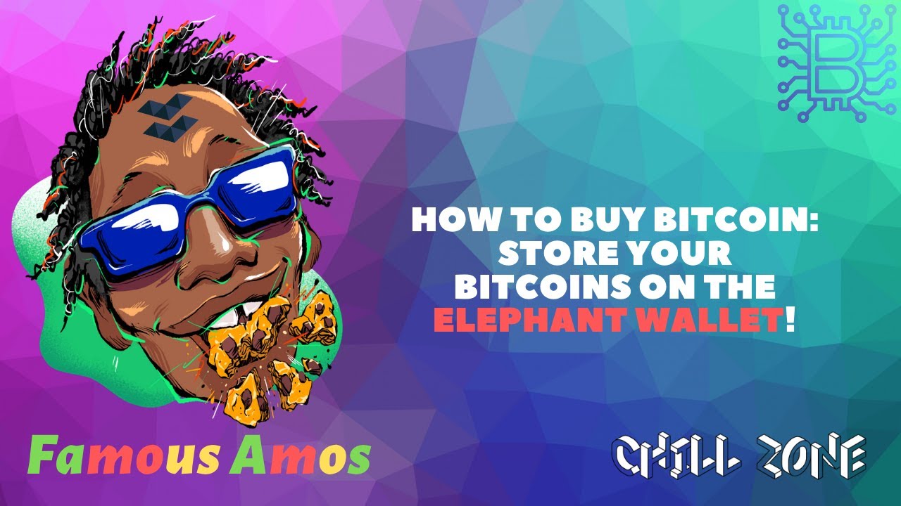 How To Buy Bitcoin on Coinbase 2020 - Store Your Bitcoins On the Elephant Wallet!