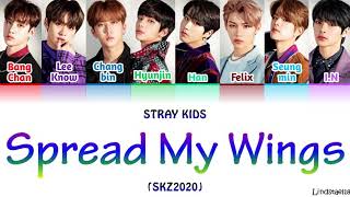 Stray Kids 'SPREAD MY WINGS' (SKZ2020) colorcodedlyrics Han-Rom-Eng