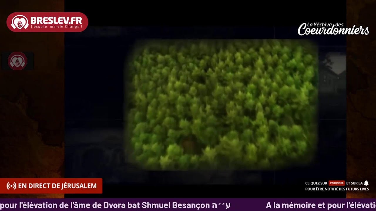 Les Contes de Rabbi Nahman « Les 7 mendiants »   💕🔥( 17- 01- 023) 🔥💓