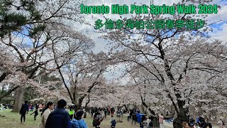 Toronto High Park Spring Walk 2024 多倫多海帕公園春季徒步