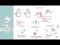 HOWSCHMOEDRAWS - how to draw hands thumbnail