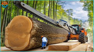 45 Dangerous Fastest Big Tree Removal Bulldozers in Action You've Got To See! by SWAG Tech 3,657 views 4 weeks ago 18 minutes