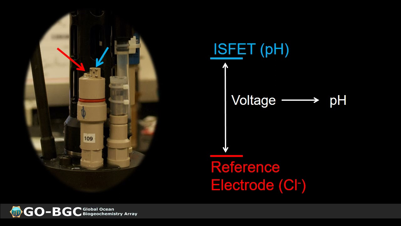 Yui Takeshita: pH measurements and derived CO2 parameters from BGC profiling floats