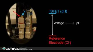 Yui Takeshita: pH measurements and derived CO2 parameters from BGC profiling floats