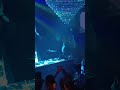 5 региональный отборочный тур Лиги Диджеев, Москва 28.11.24 #лигадиджеев #DmitryV