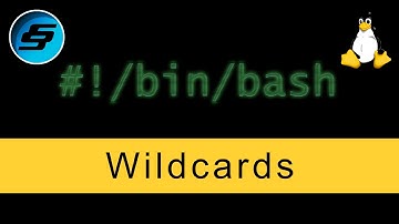 Wildcards - Bash Scripting